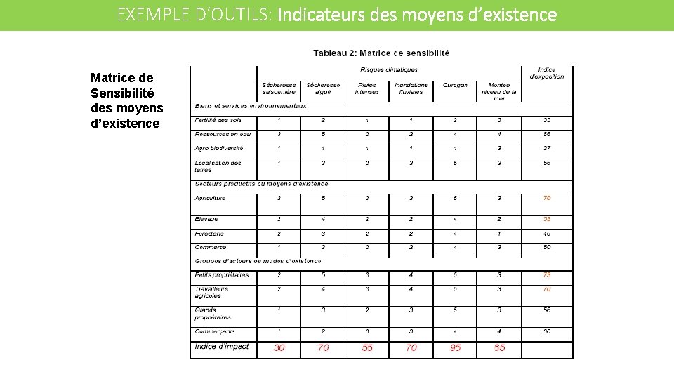 EXEMPLE D’OUTILS: Indicateurs des moyens d’existence Matrice de Sensibilité des moyens d’existence 