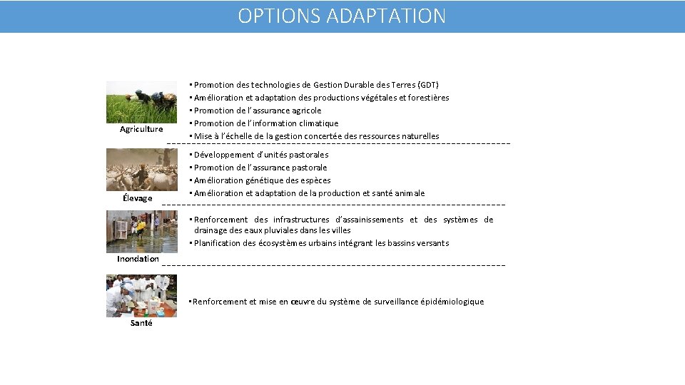 OPTIONS ADAPTATION Agriculture Élevage • Promotion des technologies de Gestion Durable des Terres (GDT)