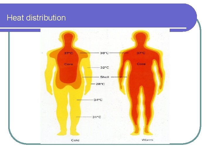 Heat distribution 