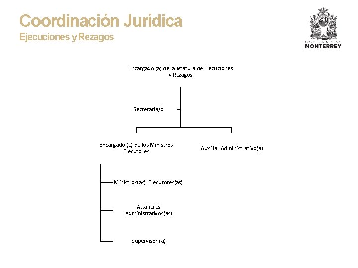 Coordinación Jurídica Ejecuciones y Rezagos Encargado (a) de la Jefatura de Ejecuciones y Rezagos