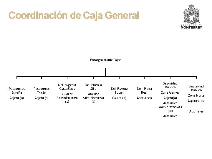 Coordinación de Caja General Encargado(a)de Cajas Pasaportes España Pasaportes Tucán Cajero (a) Del. Eugenio