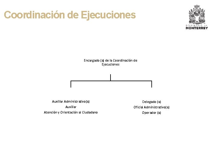 Coordinación de Ejecuciones Encargado (a) de la Coordinación de Ejecuciones Auxiliar Administrativo(a) Auxiliar Atención