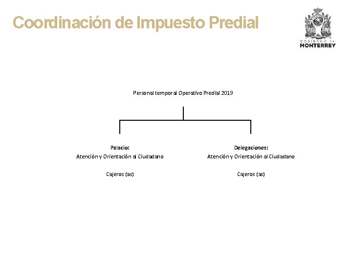 Coordinación de Impuesto Predial Personal temporal Operativo Predial 2019 Palacio: Atención y Orientación al