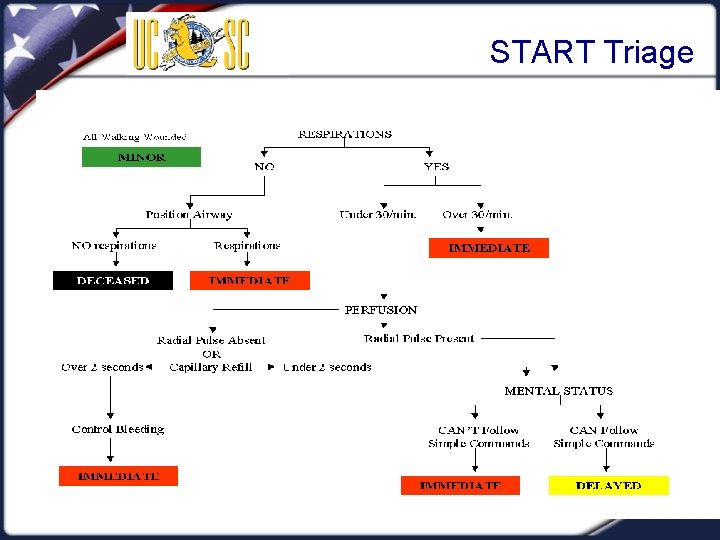 START Triage Visual 3. 7 