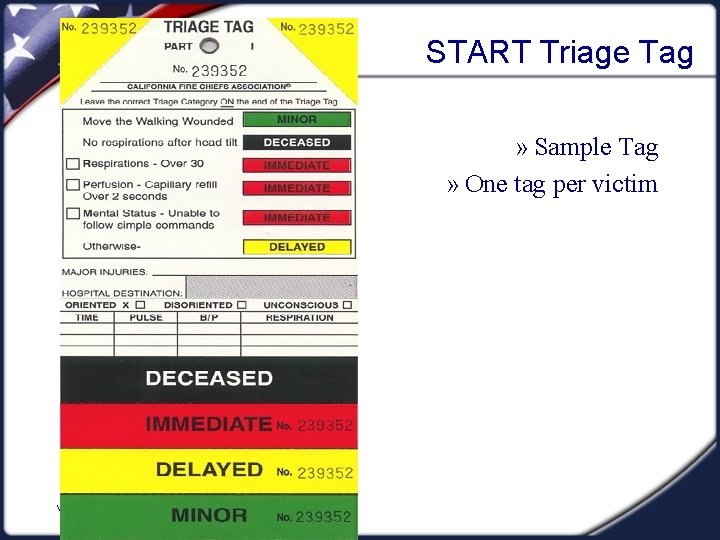 START Triage Tag » Sample Tag » One tag per victim Visual 3. 8