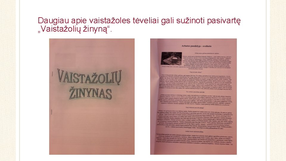 Daugiau apie vaistažoles tėveliai gali sužinoti pasivartę „Vaistažolių žinyną“. 