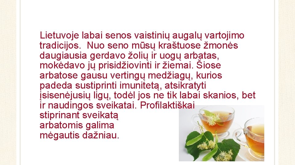 Lietuvoje labai senos vaistinių augalų vartojimo tradicijos. Nuo seno mūsų kraštuose žmonės daugiausia gerdavo