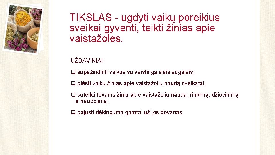 TIKSLAS - ugdyti vaikų poreikius sveikai gyventi, teikti žinias apie vaistažoles. UŽDAVINIAI : q