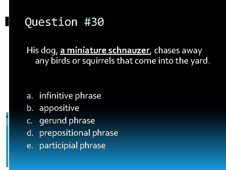 Question #30 His dog, a miniature schnauzer, chases away any birds or squirrels that Question #30 His dog, a miniature schnauzer, chases away any birds or squirrels that