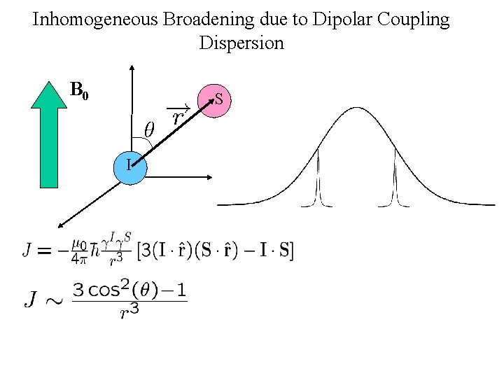 Inhomogeneous Broadening due to Dipolar Coupling Dispersion B 0 S I 
