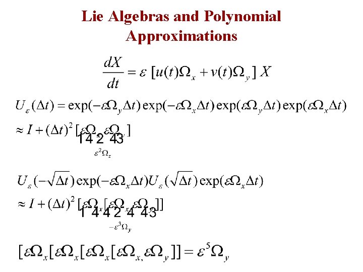 Lie Algebras and Polynomial Approximations 
