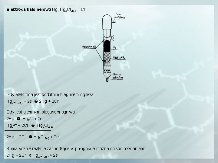 Elektroda kalomelowa Hg, Hg 2 Cl 2(s) │ Cl- Gdy elektroda jest dodatnim biegunem