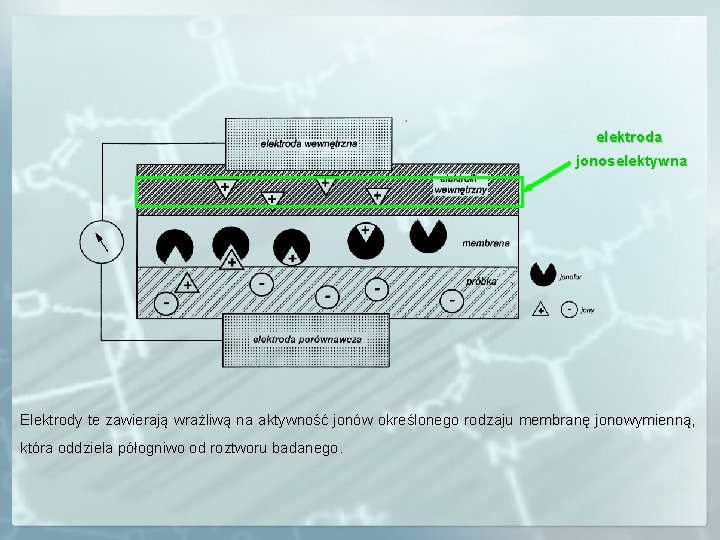 elektroda jonoselektywna Elektrody te zawierają wrażliwą na aktywność jonów określonego rodzaju membranę jonowymienną, jonowymienną