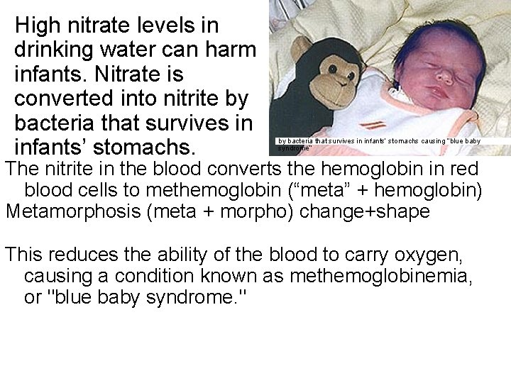 High nitrate levels in drinking water can harm infants. Nitrate is converted into nitrite