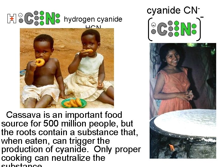 - hydrogen cyanide HCN Cassava is an important food source for 500 million people,