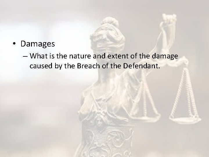  • Damages – What is the nature and extent of the damage caused