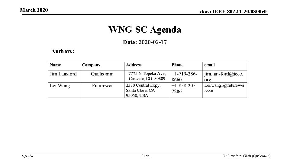 March 2020 doc. : IEEE 802. 11 -20/0300 r 0 WNG SC Agenda Date: