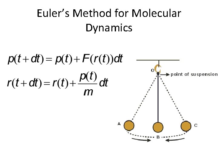 Euler’s Method for Molecular Dynamics 