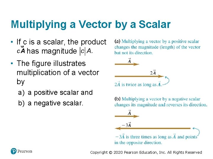 Multiplying a Vector by a Scalar • If c is a scalar, the product