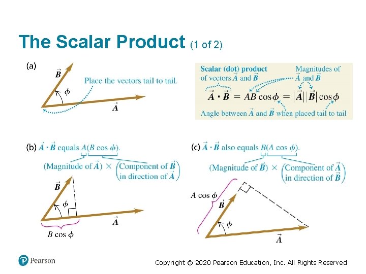 The Scalar Product (1 of 2) Copyright © 2020 Pearson Education, Inc. All Rights