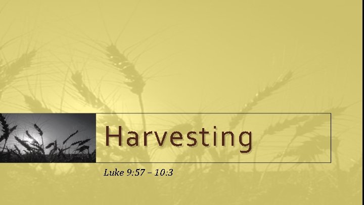 Harvesting Luke 9: 57 – 10: 3 