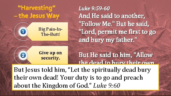 “Harvesting” – the Jesus Way Big Pain-In. The-Butt! Give up on security. Luke 9: