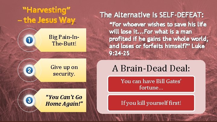 “Harvesting” – the Jesus Way Big Pain-In. The-Butt! Give up on security. The Alternative