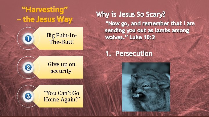 “Harvesting” – the Jesus Way Big Pain-In. The-Butt! Why is Jesus So Scary? “Now