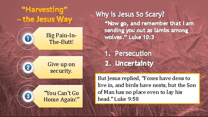 “Harvesting” – the Jesus Way Big Pain-In. The-Butt! Give up on security. “You Can't