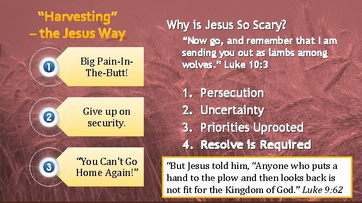 “Harvesting” – the Jesus Way Big Pain-In. The-Butt! Give up on security. “You Can't