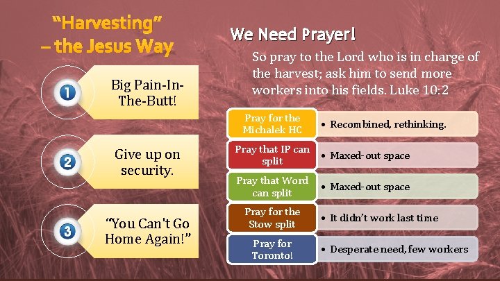 “Harvesting” – the Jesus Way Big Pain-In. The-Butt! We Need Prayer! So pray to