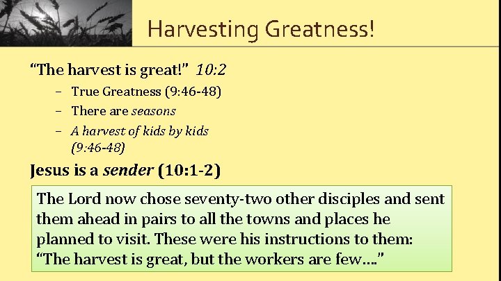 Harvesting Greatness! “The harvest is great!” 10: 2 – True Greatness (9: 46 -48)
