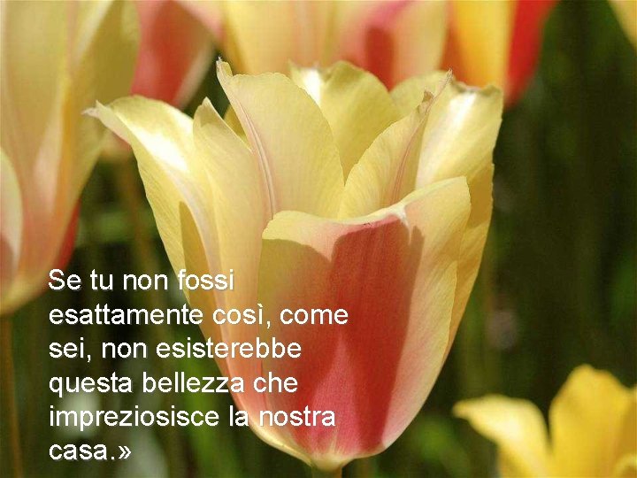 Se tu non fossi esattamente così, come sei, non esisterebbe questa bellezza che impreziosisce