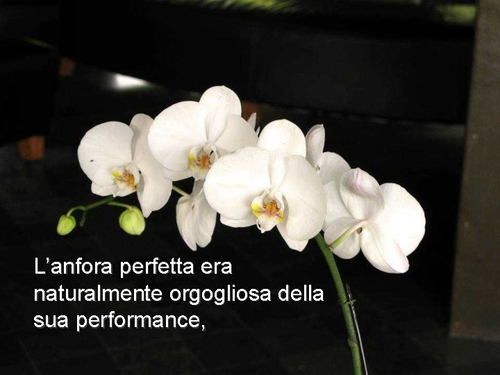 L’anfora perfetta era naturalmente orgogliosa della sua performance, 