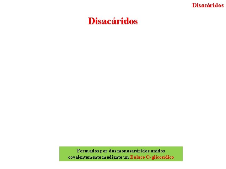 Disacáridos Formados por dos monosacáridos unidos covalentemente mediante un Enlace O-glicosídico 