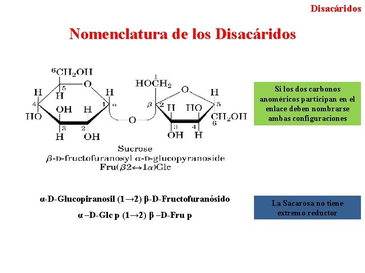 Disacáridos Nomenclatura de los Disacáridos Si los dos carbonos anoméricos participan en el enlace