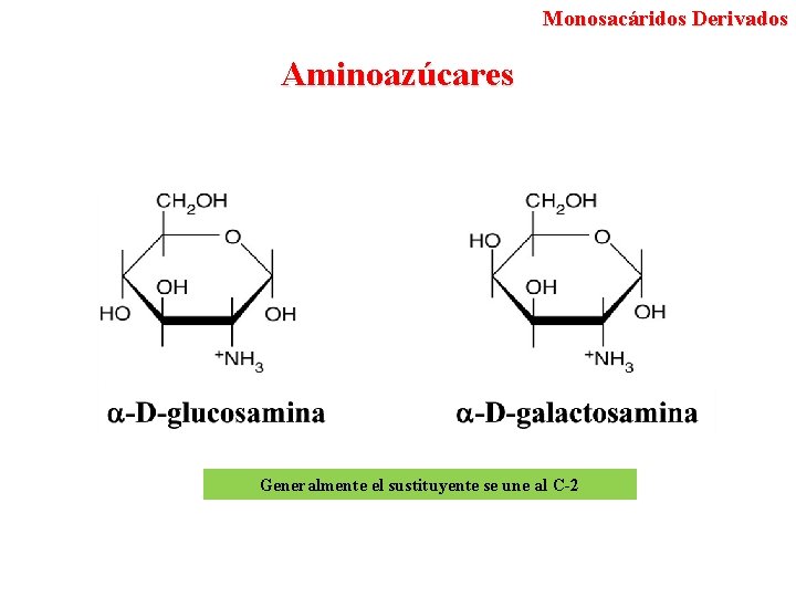 Monosacáridos Derivados Aminoazúcares Generalmente el sustituyente se une al C-2 