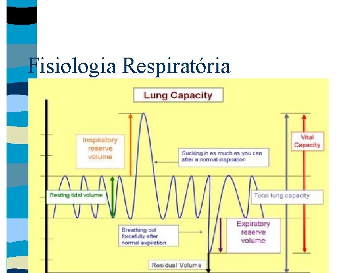 Fisiologia Respiratória 