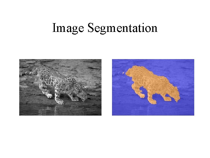 Image Segmentation 