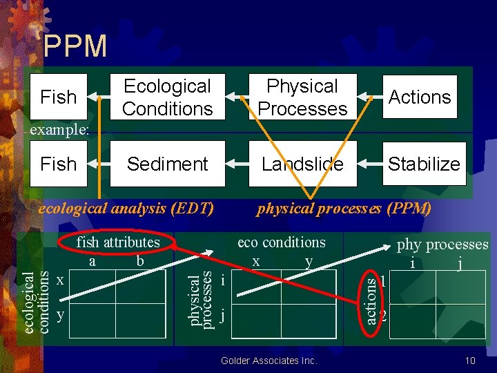 PPM Fish Ecological Conditions Physical Processes Actions Sediment Landslide Stabilize example: ecological analysis (EDT) PPM Fish Ecological Conditions Physical Processes Actions Sediment Landslide Stabilize example: ecological analysis (EDT)