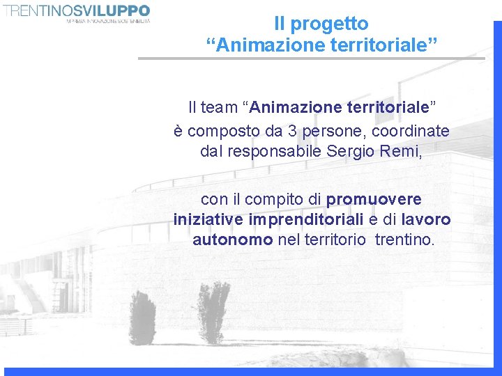 Il progetto “Animazione territoriale” Il team “Animazione territoriale” è composto da 3 persone, coordinate