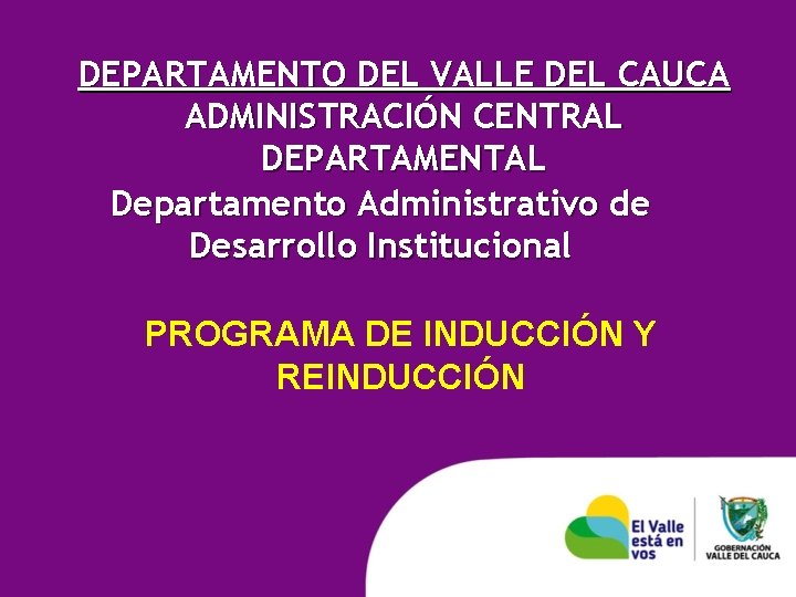 DEPARTAMENTO DEL VALLE DEL CAUCA ADMINISTRACIÓN CENTRAL DEPARTAMENTAL Departamento Administrativo de Desarrollo Institucional PROGRAMA