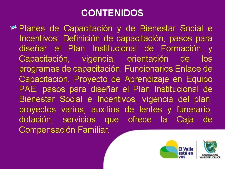 CONTENIDOS Planes de Capacitación y de Bienestar Social e Incentivos: Definición de capacitación, pasos