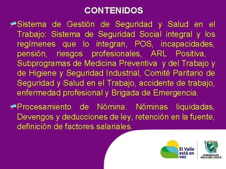 CONTENIDOS Sistema de Gestión de Seguridad y Salud en el Trabajo: Sistema de Seguridad