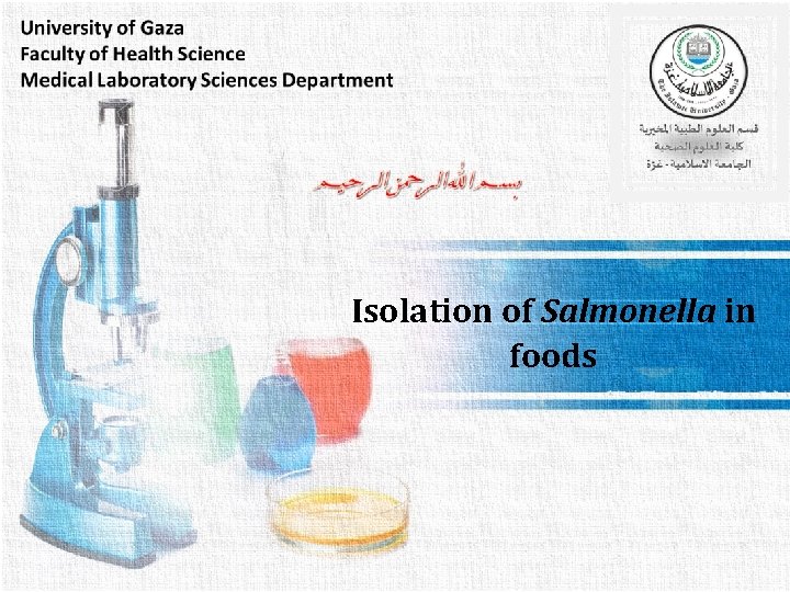 Isolation of Salmonella in foods 