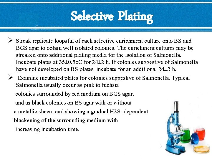 Selective Plating Ø Streak replicate loopsful of each selective enrichment culture onto BS and