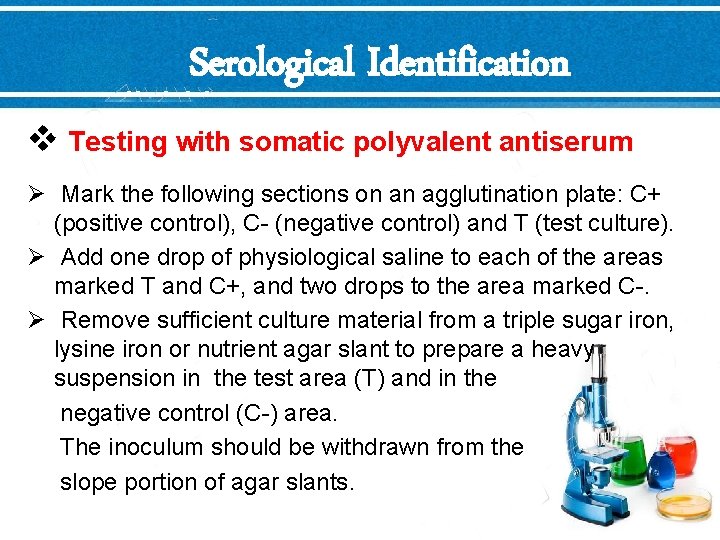 Serological Identification v Testing with somatic polyvalent antiserum Ø Mark the following sections on