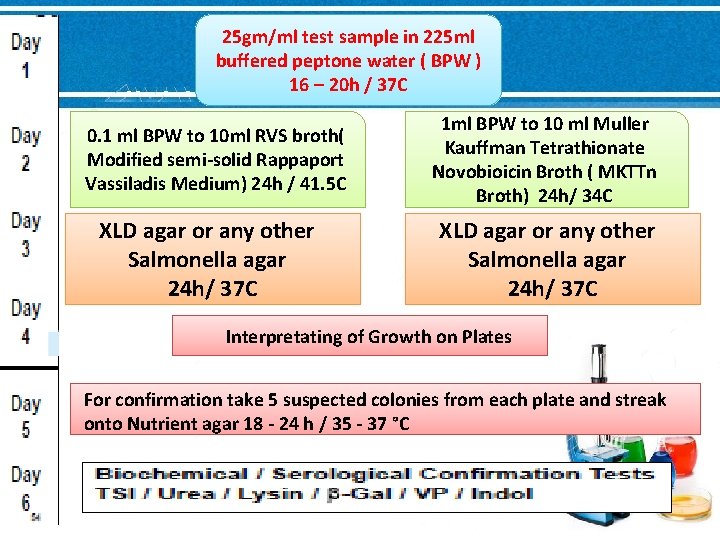 25 gm/ml test sample in 225 ml buffered peptone water ( BPW ) 16