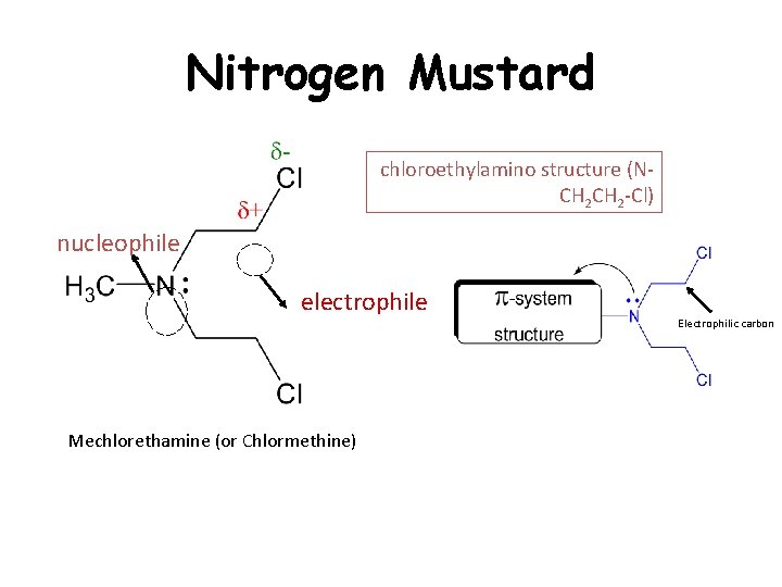 Nitrogen Mustard chloroethylamino structure (NCH 2 -Cl) nucleophile electrophile Mechlorethamine (or Chlormethine) Electrophilic carbon