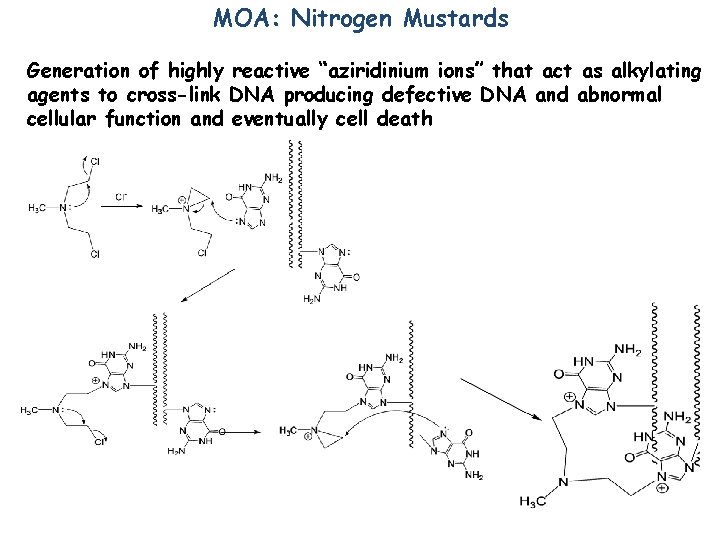 MOA: Nitrogen Mustards Generation of highly reactive “aziridinium ions” that act as alkylating agents